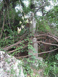 境内（見どころ）：安産祈願本坊極楽寺