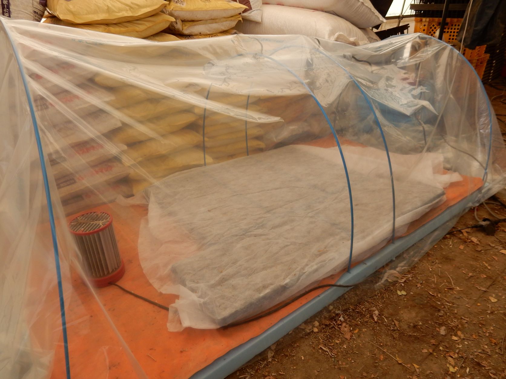 自作のミニ温室 - 週末農夫のきまぐれ