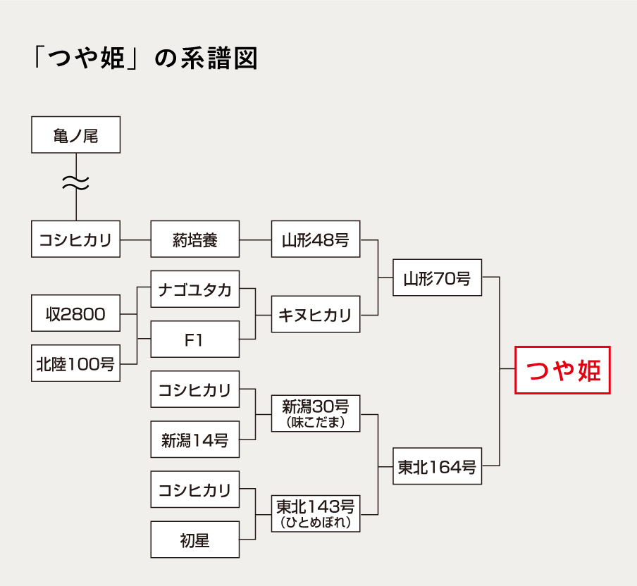 販売終了・アダルトグッズ、大人のおもちゃアーカイブ】艶姫 藍（つやひめ あい） |