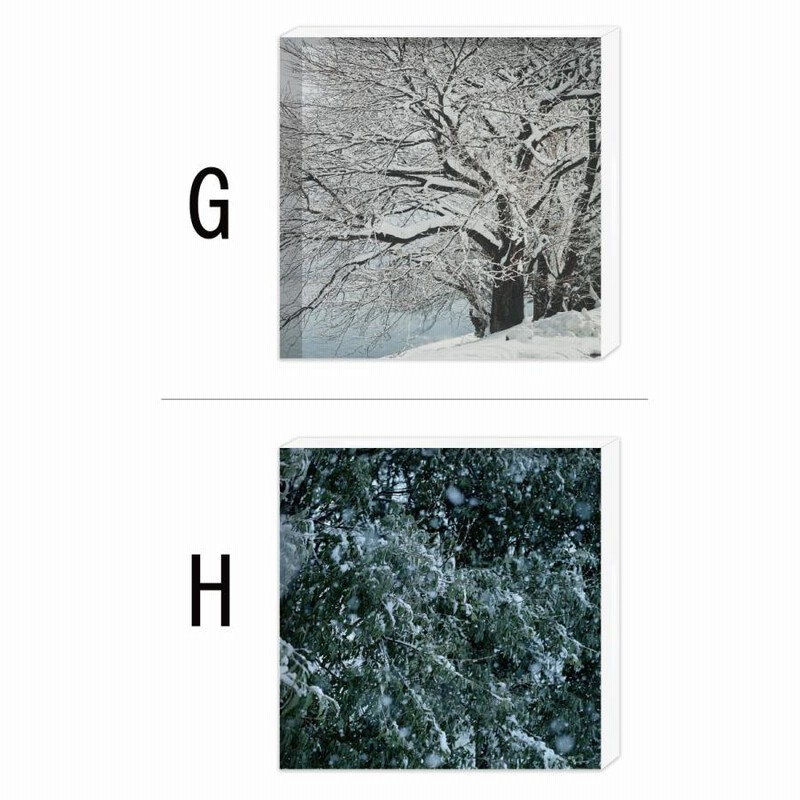 Amazonアクリルキューブ 透明 ブロック 台座 立方体 ディスプレイ インテリア 撮影小物 映える 装飾30mm 5個セット通販