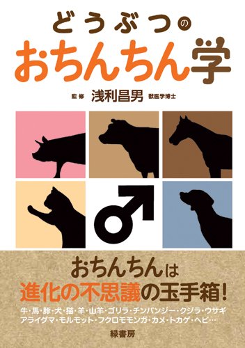 ちんこ(ペニス)をカップ数に例えると？【判定表でちんちんチェック！】 | 性癖.com