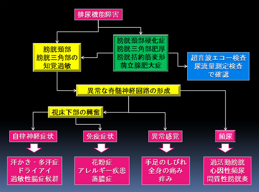 慢性前立腺炎: 泌尿器科の常識と盲点