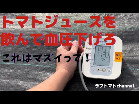 楽天市場】【ふるさと納税】じゅわっと極甘のフルーツミディトマト 約1kg (バラ箱詰め)