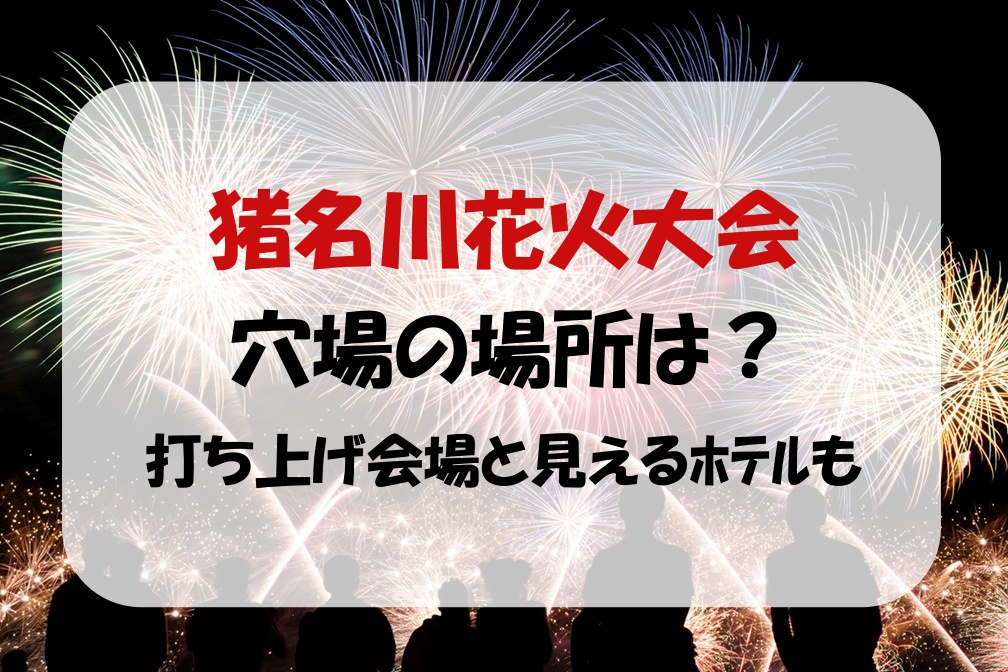 西三河の花火特集を公開しました | 愛知県西三河エリアの公式観光サイト