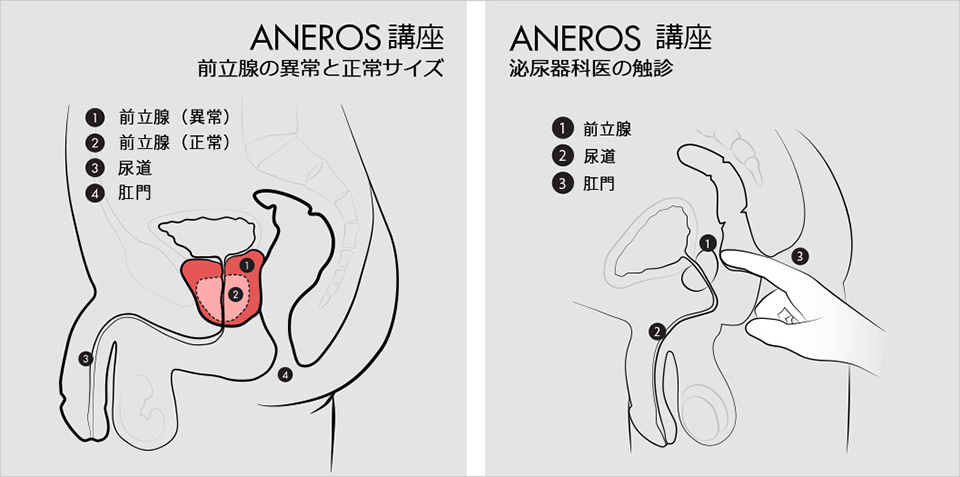 ドS嬢の直伝！イケるアナニーのやり方とコツを紹介！【初心者向け】 - エムオグラシ