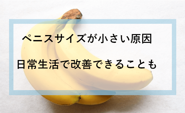 綺麗なちんこと言われるサイズや形とは？女性にとっての綺麗なちんこは？ | 【フェアクリニック】包茎・薄毛・男の悩み相談所