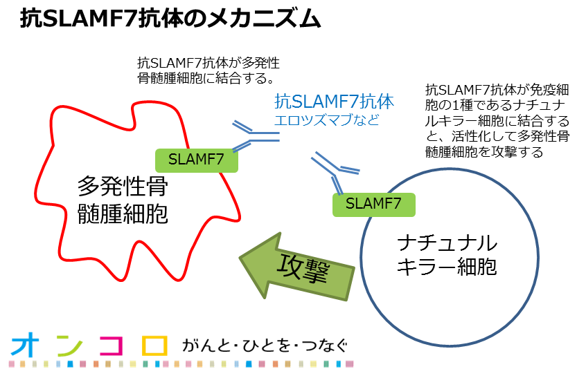 医師監修・作成］多発性骨髄腫とはどんな病気なのか | MEDLEY(メドレー)