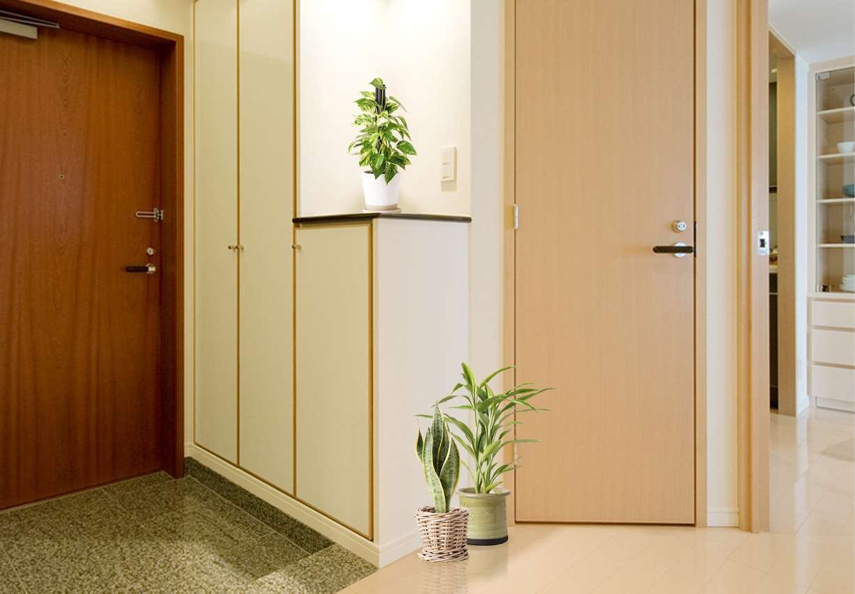 マンションエントランスの観葉植物レンタル - 北本グリーンセンタ
