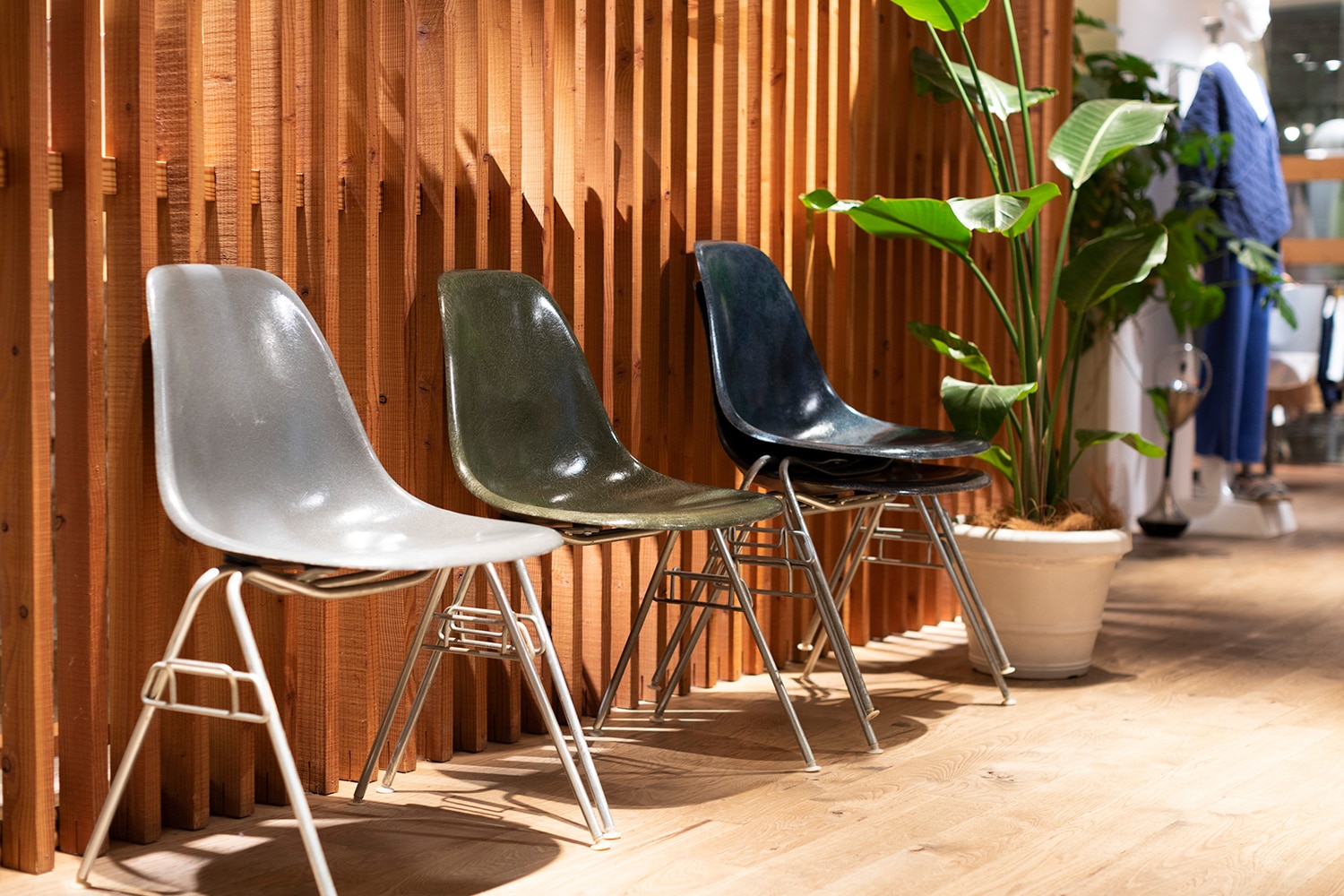 ロンハーマン風リビング』 リビングのリフォーム事例 12203- 価格.com