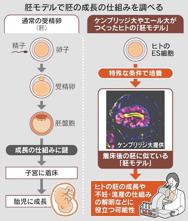 科学的に精液の苦味を改善する方法 - Genspark