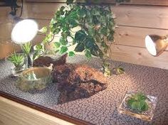 レオパ 自作 レイアウト