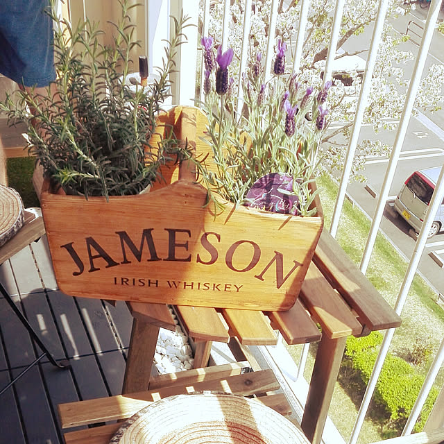 ローズマリーの葉で部屋に香りを！！・いわき - いわき・うぶすな広場だより