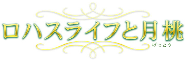 11月～お客様ご紹介～/一般社団法人LOHASヴィレッジプロジェクト