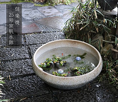 信楽焼 睡蓮鉢 メダカ鉢 おしゃれ めだか鉢 陶器 水鉢 ビオトープ 金魚鉢 信楽焼き スイレン鉢 ハス鉢 11号窯肌水鉢 su-0137 :しがらき - 通販 - Yahoo!ショッピング