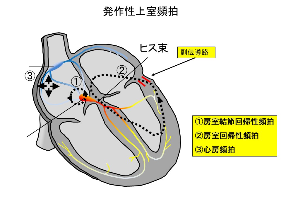 頸部の診察② | 都内の在宅医療・訪問診療｜医療法人社団 鳳優会（ほうゆうかい）