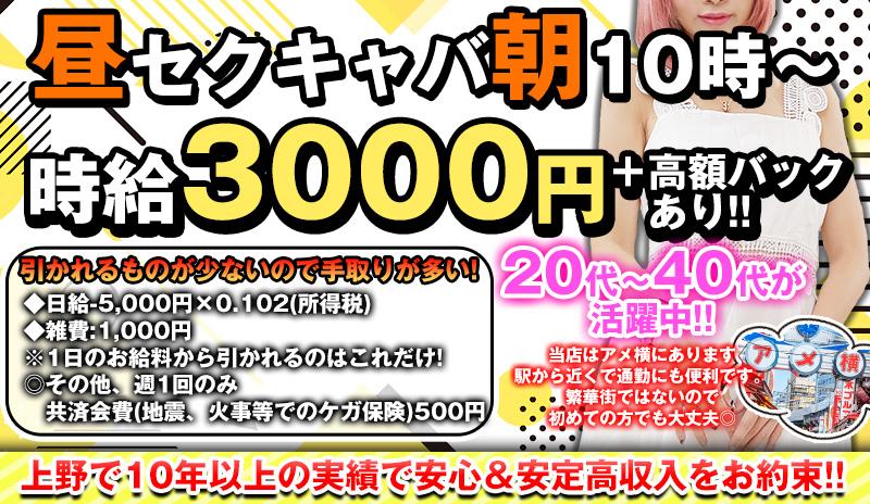 18禁】【風俗入門】セクキャバ・おっパブ-各地で呼び名が変わる、キャバクラ以上風俗未満の社交場-｜ラブホで働く大学院生