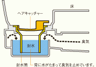 本文】短篇集「滴る」｜1ページ - 小説投稿エブリスタ