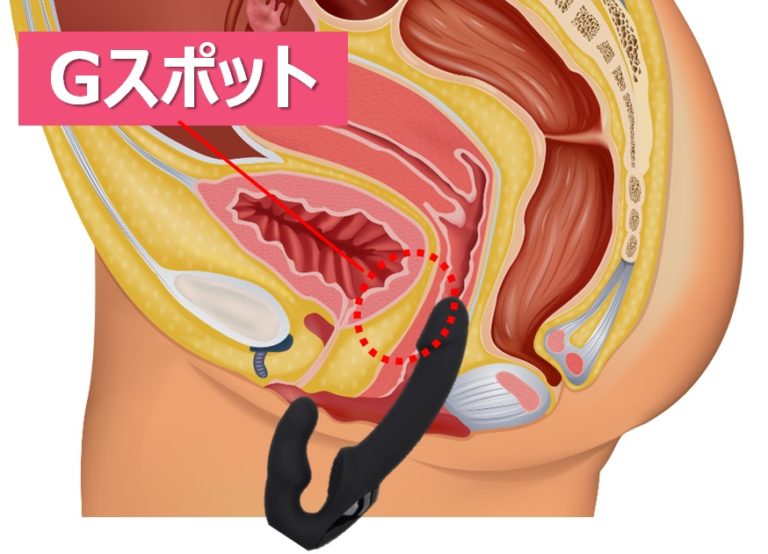 手マンで潮吹きさせるやり方とコツとは？女性が気持ち良くなるテクニックを伝授【男性向け】 | オトナのハウコレ