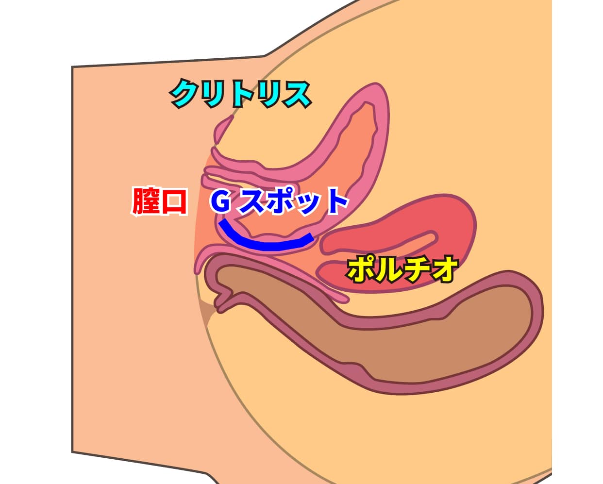 オナニーの平均時間と頻度！適切な回数は？ - 夜の保健室