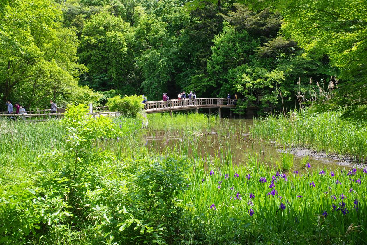 朝活》はじめました】天盃（石神井公園）-喜酔人は今日も直行直帰！