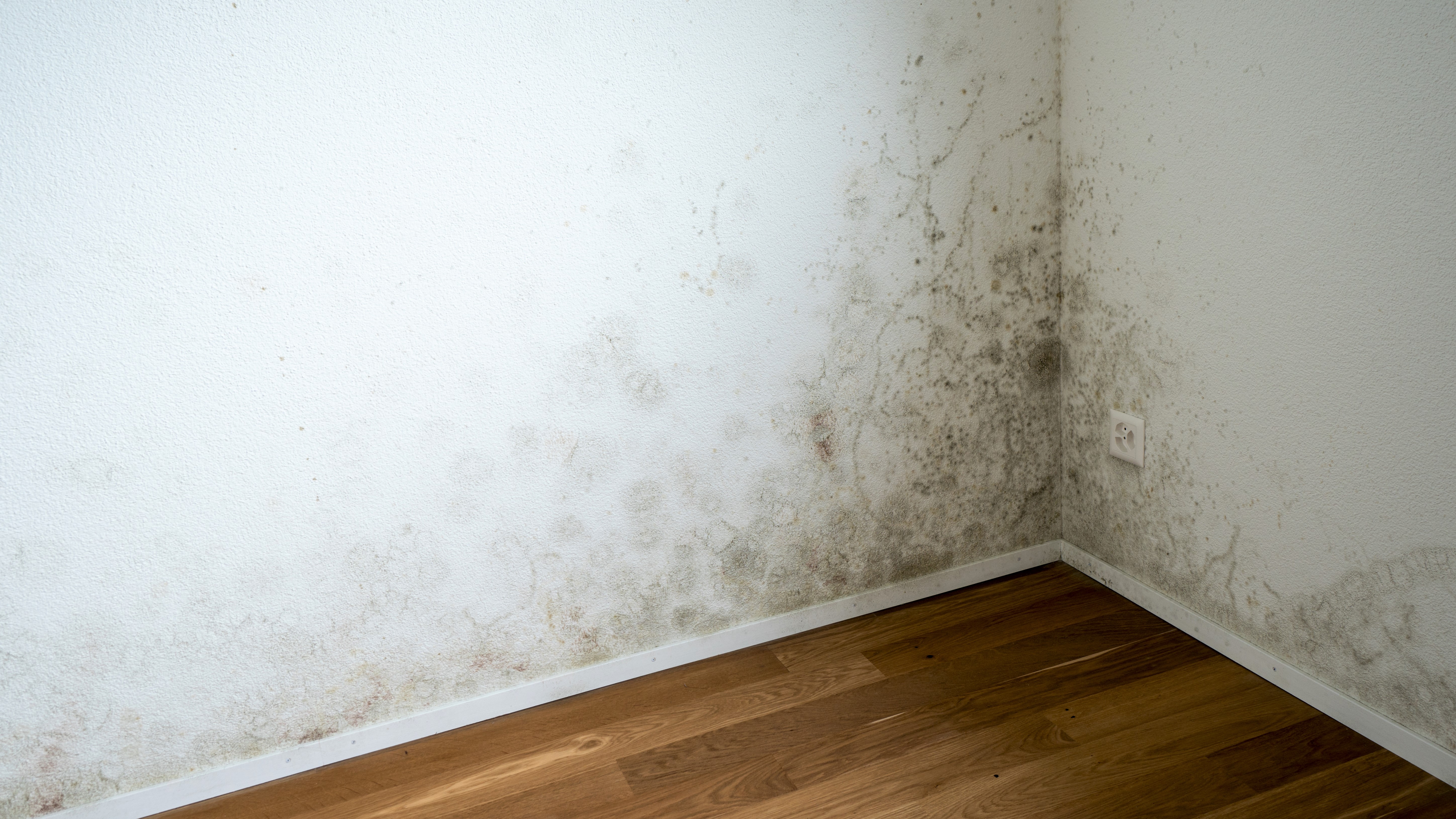 半地下はやめたほうがいい は本当？メリットデメリット・6つの対策も解説