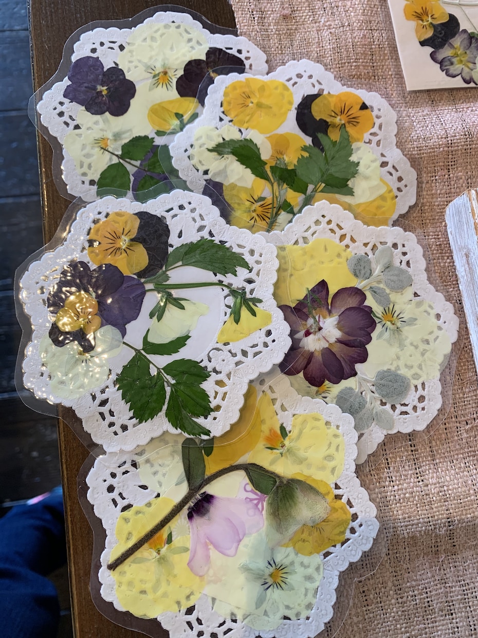 押し花のしおり ラミネートで簡単 作り方を解説 – Life like a cat