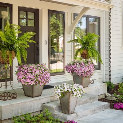 ガーデニング初心者だけど、おしゃれな玄関前になるように心掛けている事☆目指せフレンチシック・オシャレな家づくり