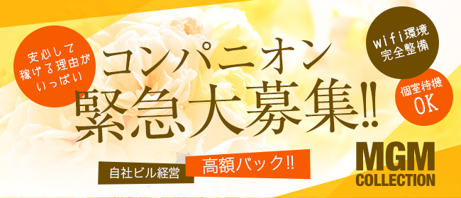 岐阜市・岐南の風俗求人【バニラ】で高収入バイト