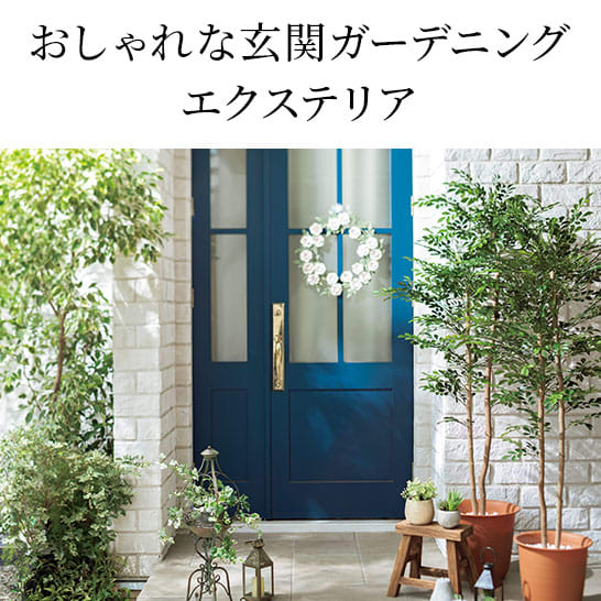 楽天市場 玄関 先 鉢植え おしゃれの通販