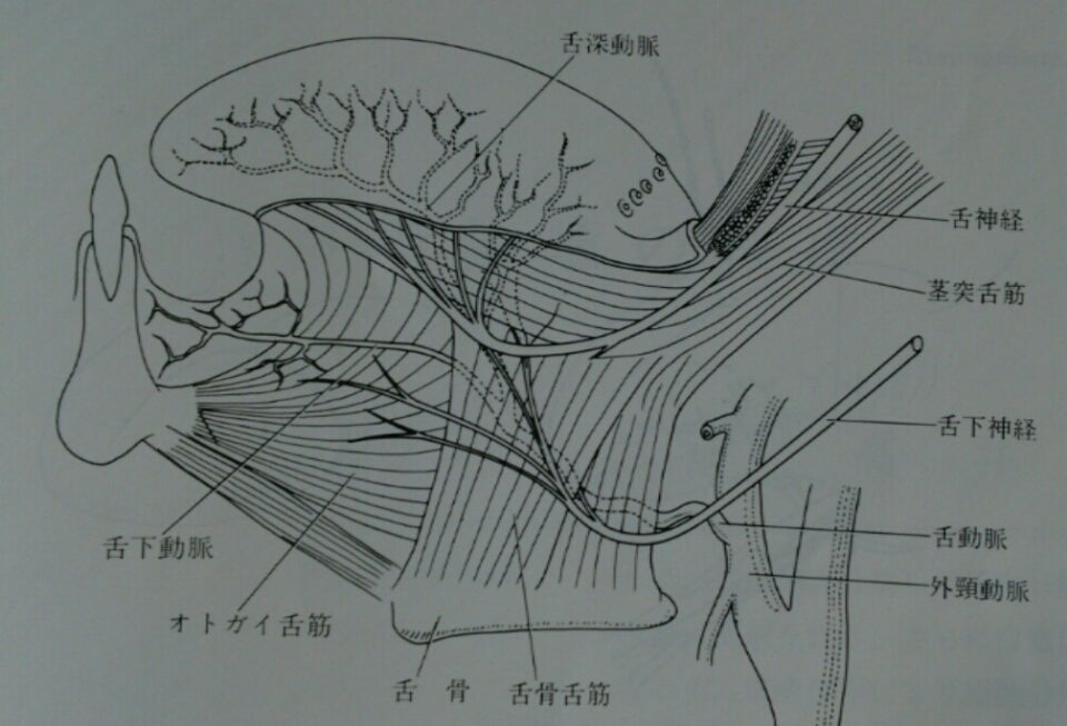 表情筋、衰えていますよ！脱マスクの笑顔LESSON | NARIS ONLINE STORE