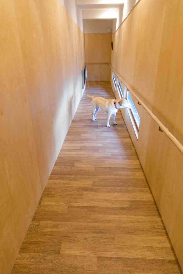 愛犬用スロープを手作り！ ホームセンター カインズ のすのこと木材だけでできる簡単DIYワンクォール