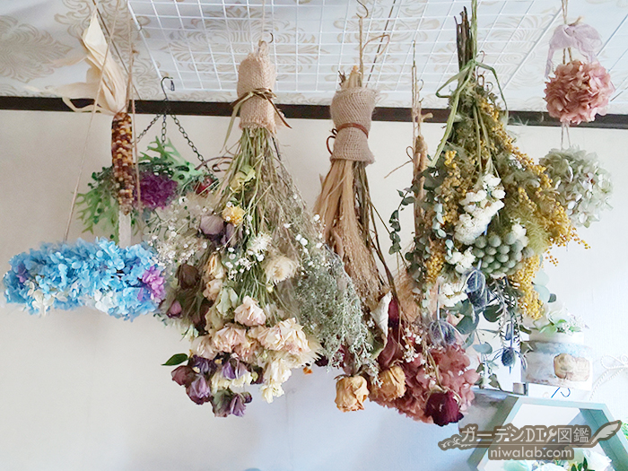 ドライフラワー吊り下げドライフラワー NEWCONNECT