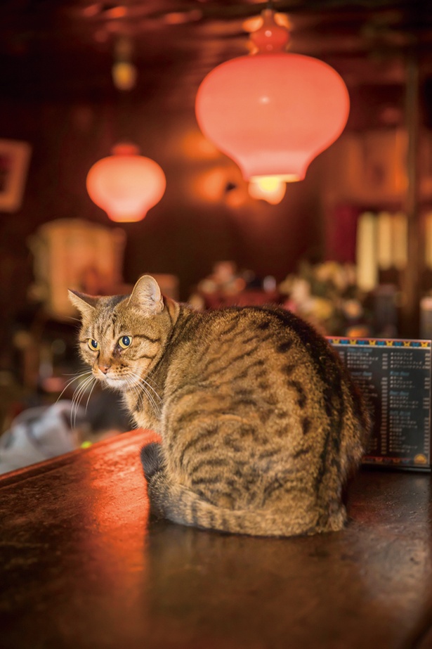 山手迎賓館 横浜の【キュート】大人キュートなおしゃれWの写真・フォト・画像【ゼクシィ】