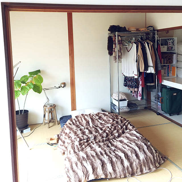 モダンな和室のおしゃれなインテリア実例集！和モダンコーディネートのポイント - ラグ・カーペット通販 びっくりカーペット