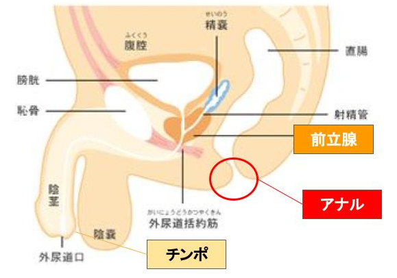 ふたなりJKがリモコンバイブでトコロテンされちゃってるエロ画像ｗ | キモ男陵辱同人道～エロ漫画・同人誌・エロ画像