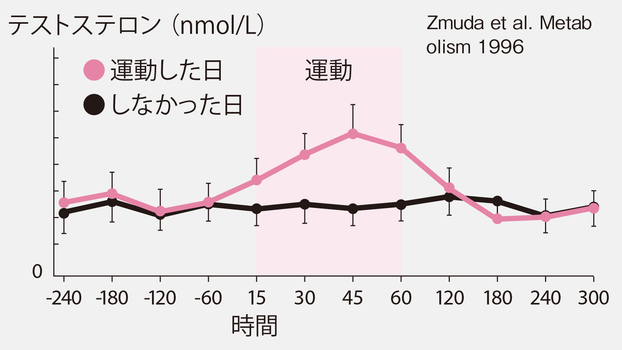 ED改善に効果的な筋トレ法｜健康的な性生活を取り戻そう