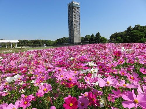 ザ・ オランジェ ガーデン五十鈴川【WEDDING】 | .