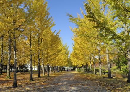 天童駅に近い安く泊まれるホテル・旅館 【Yahoo!トラベル】