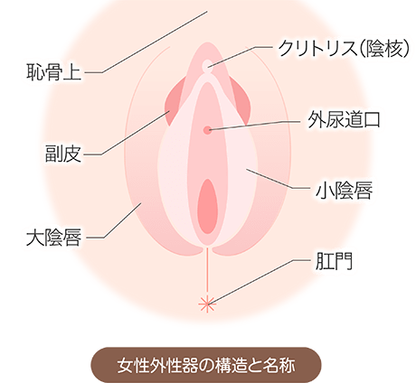 クリトリス包茎｜銀座みゆき通り美容外科大阪院