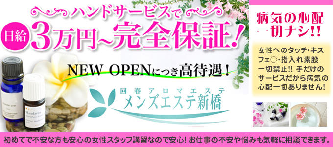 ラグタイム銀座｜新橋・銀座・浜松町・東京都のメンズエステ求人 メンエスリクルート