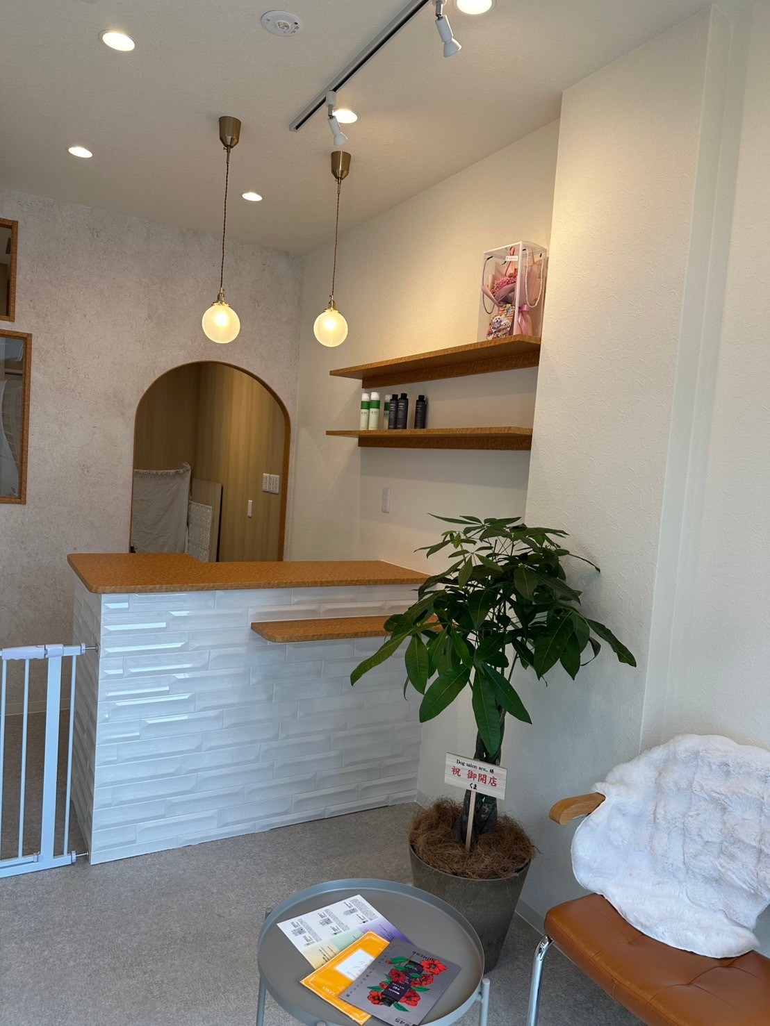 ドッグ・トリミングサロン用店舗型コンテナハウス 長野県小谷村ATS, Japan