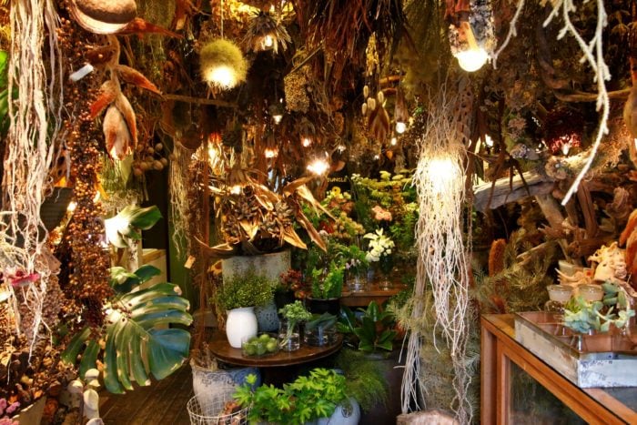 暮らしに寄り添う植物を探して『枝屋 東京・西荻窪 』goodroom journal