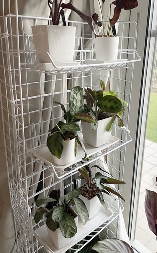 ダイソーのワイヤーネットと有孔ボードで収納ラック作り : Little hobby