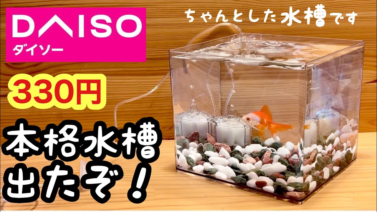置くだけ簡単 水槽のバックスクリーンをダイソーなどの100均商品で自作する方法 サラリーマンとコリドラス