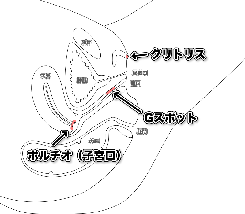 指型ローター 男女兼用 愛撫 gスポット –