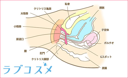 楽天ブックス: 中出し超肉感Gカップ149cmなつき「イってる!イってるからぁ!」 淫乱絶頂生徒指導