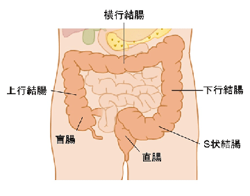 ワイ、ついにS字結腸でメスイキを体験してしまう | オナ速＠アダルトグッズまとめ