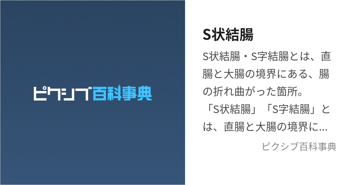 大腸の解剖用語 (ガストロ用語集 2023 「胃と腸」47巻5号より)｜gastropedia（ガストロペディア）