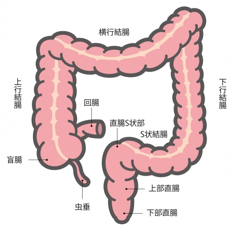 Ｓ状結腸開発調教 ２ – アダルト官能小説