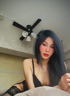 boa35 Ladyboy Escort